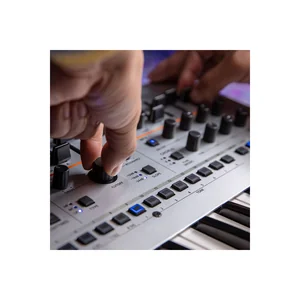 Roland GAIA 2