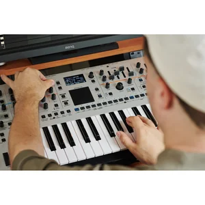 Roland GAIA 2
