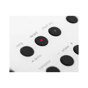 Roland GO:KEYS 5 WH