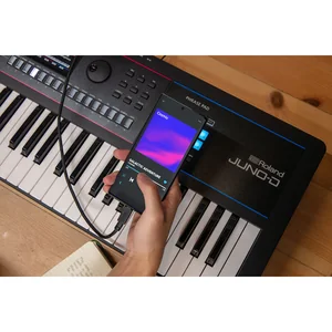 Roland Juno-D6