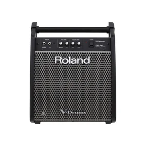 Roland PM-100 Personal Drum Monitor