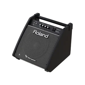 Roland PM-100 Personal Drum Monitor