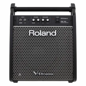 Roland PM-100 Personal Drum Monitor
