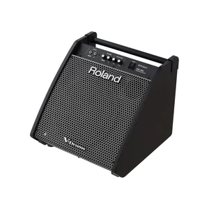 Roland PM-200 Personal Drum Monitor