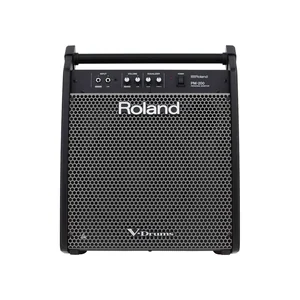 Roland PM-200 Personal Drum Monitor