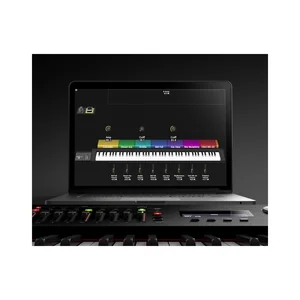 Roland RD-2000 EX