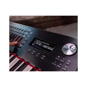 Roland RD-2000 EX