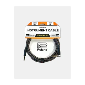 Roland RIC-G10A