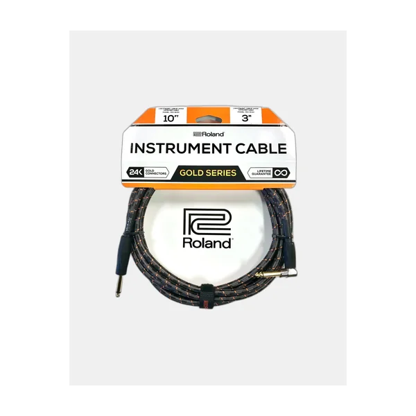 Roland RIC-G10A