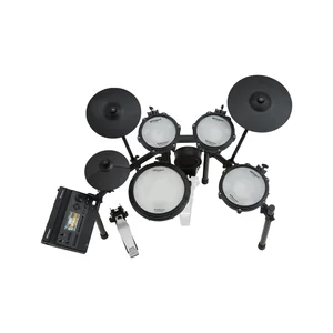 Roland TD313 V-Drum Kit Bundle