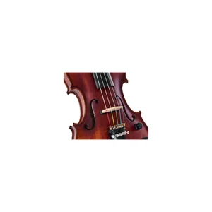 Roth & Junius Acoustic-Electric 5-Str Vn Set