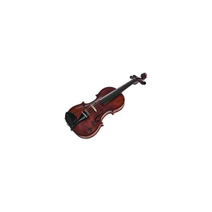 Roth & Junius Acoustic-Electric Violin 5-Str