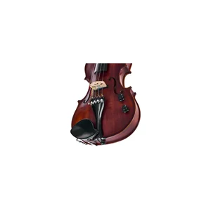 Roth & Junius Acoustic-Electric Violin 5-Str
