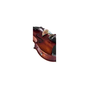 Roth & Junius Acoustic-Electric Violin 5-Str
