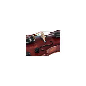 Roth & Junius Acoustic-Electric Violin 5-Str
