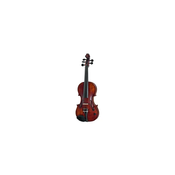Roth & Junius Acoustic-Electric Violin 5-Str