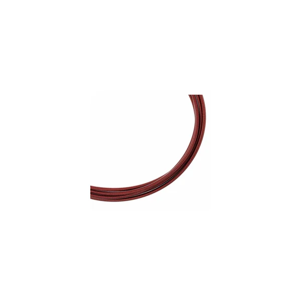 Roth & Junius Antonia Harp String No. 36