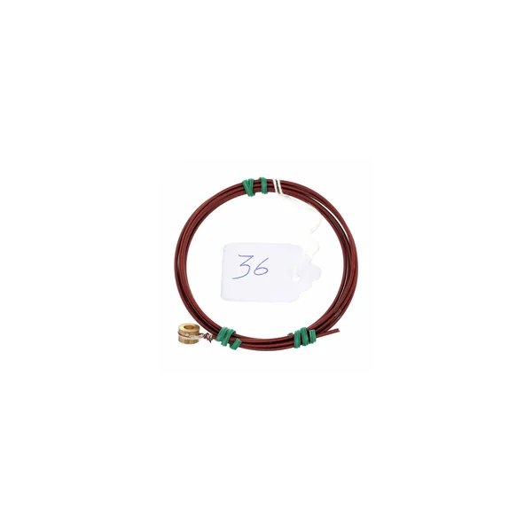 Roth & Junius Antonia Harp String No. 36