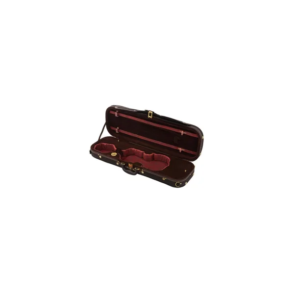 Roth & Junius Cadenza No.2G Violin Case 4/4
