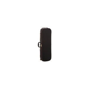 Roth & Junius Cadenza No.2G Violin Case 4/4