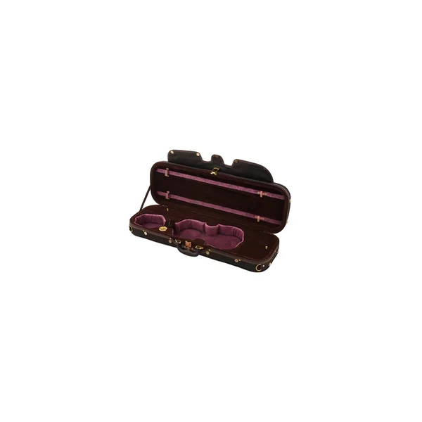 Roth & Junius Cadenza No.3G Violin Case 4/4