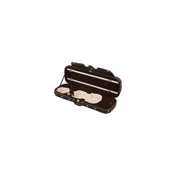 Roth & Junius Cadenza No.4G Violin Case 4/4