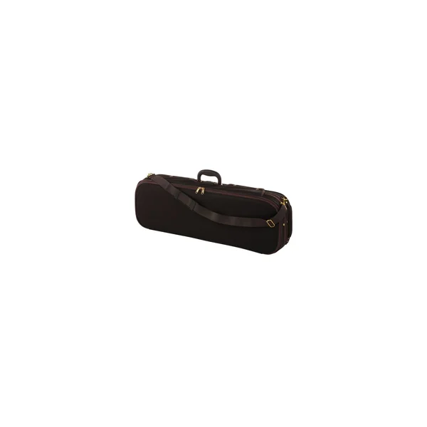 Roth & Junius Cadenza No.4G Violin Case 4/4