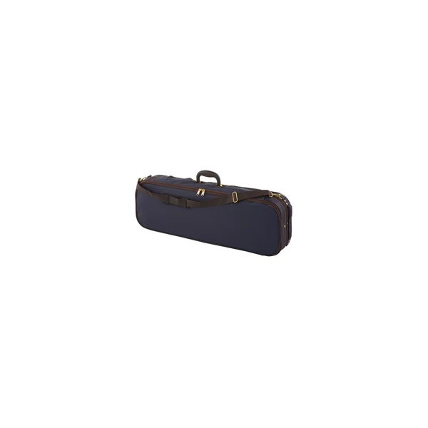 Roth & Junius Cadenza No.7G Violin Case 4/4