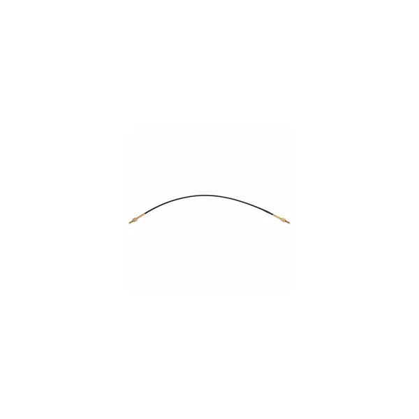 Roth & Junius Cello Tailgut Steel 4/4