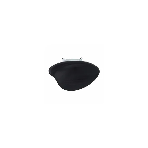 Roth & Junius CR Oval VN 4/4 Ebony