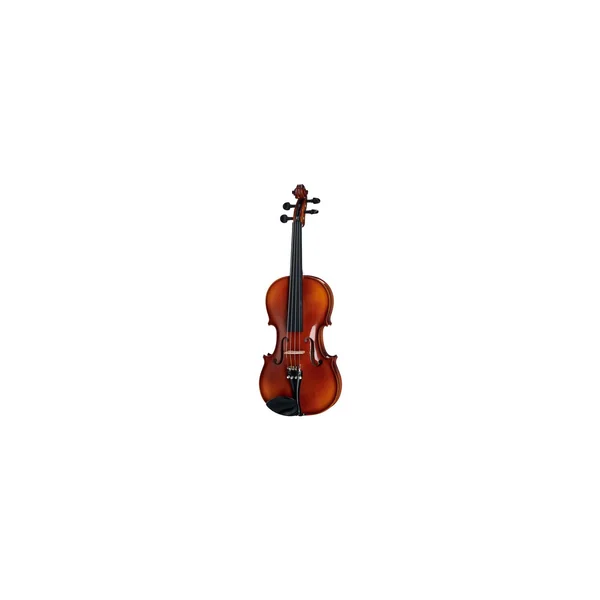 Roth & Junius Europe 14" Student Viola Set