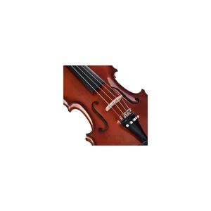 Roth & Junius Europe 15,5" Student Viola Set