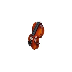Roth & Junius Europe 16,5" Student Viola Set
