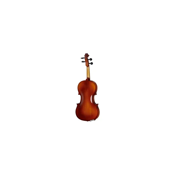Roth & Junius Europe 16" Student Viola Set