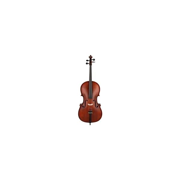 Roth & Junius Europe 4/4 AS Student Cello