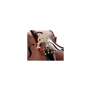 Roth & Junius Europe 4/4 AS Student Cello