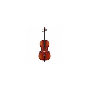 Roth & Junius Europe 4/4 Student Cello Set