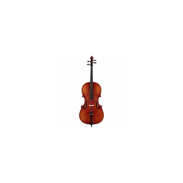 Roth & Junius Europe 4/4 Student Cello Set