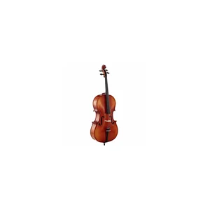 Roth & Junius Europe 4/4 Student Cello Set