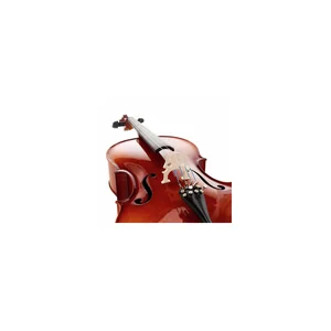 Roth & Junius Europe 4/4 Student Cello Set