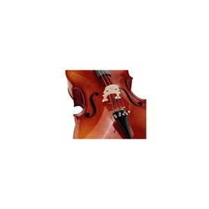 Roth & Junius Europe 4/4 Student Cello Set