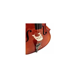 Roth & Junius Europe 4/4 Student Cello Set