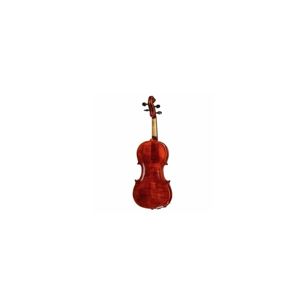 Roth & Junius Europe Antiqued Violin Set 1/2