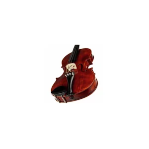 Roth & Junius Europe Antiqued Violin Set 1/2