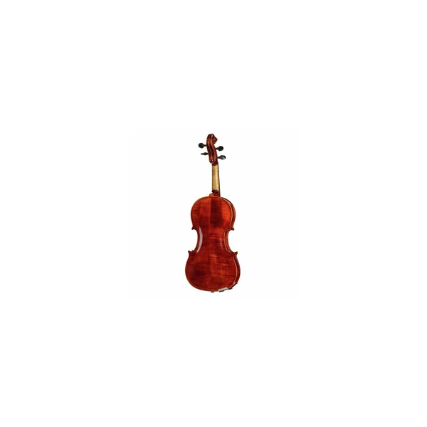 Roth & Junius Europe Antiqued Violin Set 1/4