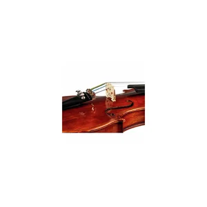 Roth & Junius Europe Antiqued Violin Set 1/4