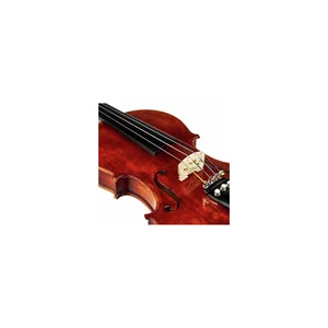 Roth & Junius Europe Antiqued Violin Set 1/4