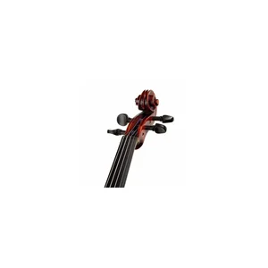 Roth & Junius Europe Antiqued Violin Set 1/4