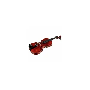 Roth & Junius Europe Antiqued Violin Set 3/4