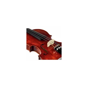 Roth & Junius Europe Antiqued Violin Set 3/4